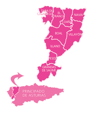 Mapa de la comarca del Parque Hist&oacute;rico del Navia